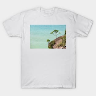 Small tree and big vast ocean scenery T-Shirt